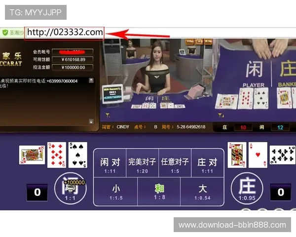 bbin波音导航最新攻略助你轻松掌握游戏技巧提升胜率